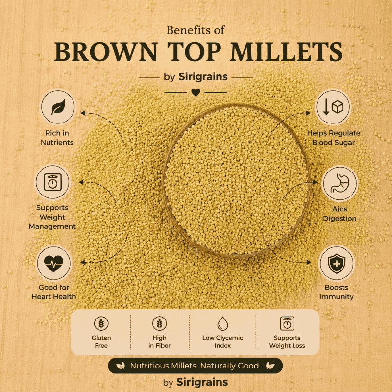 Ancient Browntop Millet Naturally Rich in Dietary Fiber Plant Based Nutrition and Everyday Healthy Eating by Sirigrains