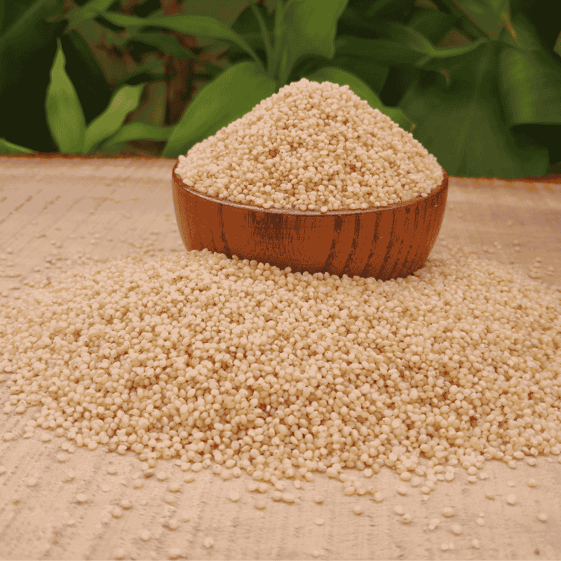 Golden Foxtail Millet Grains Carefully Selected for Natural Freshness Heritage Quality and Authentic Texture by Sirigrains