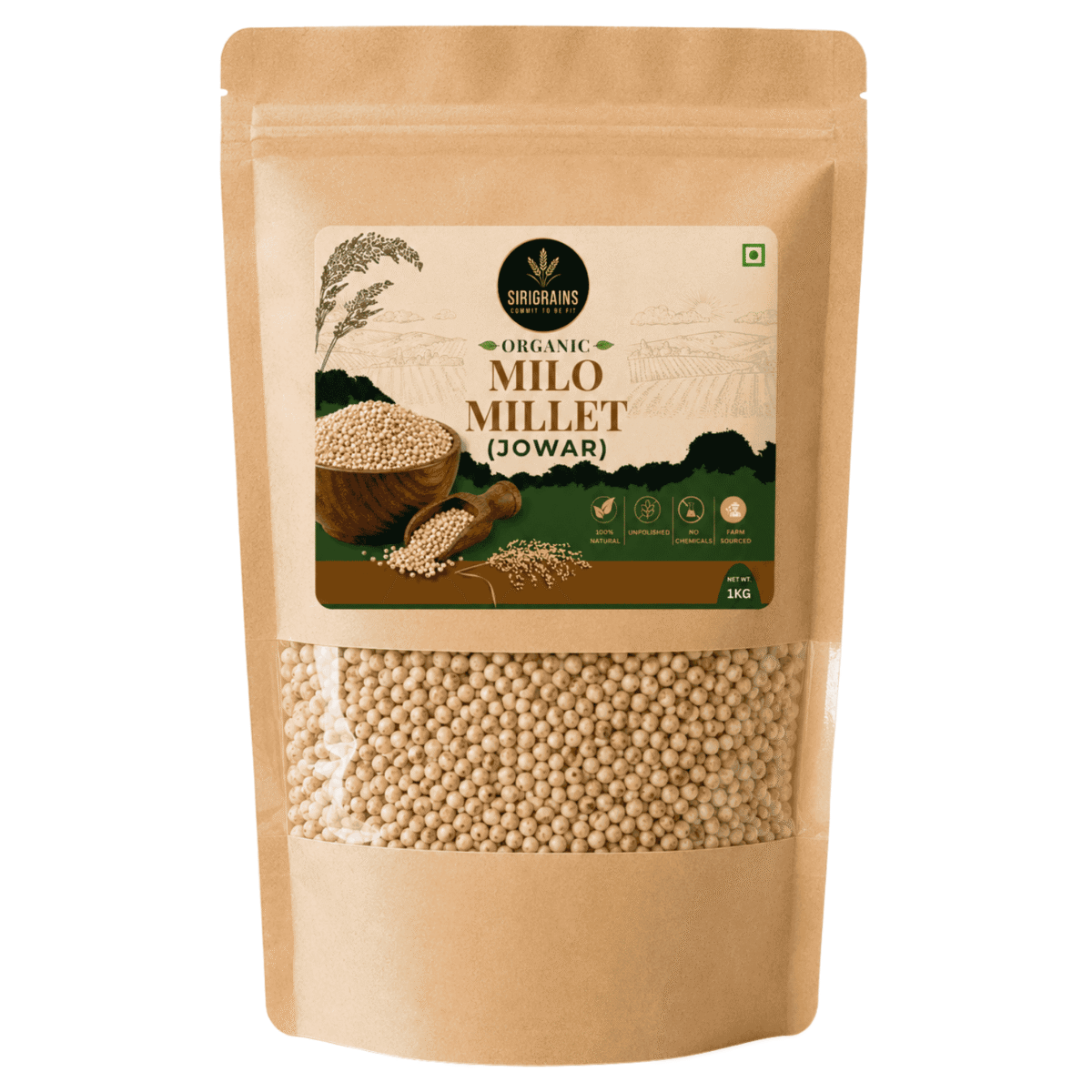 Sorghum 1kg, Desi Dagdi (Jowar / Jolada Rotti Millet) 1 sirigrains organic milo millet ancient Whole Grain for weight loss,