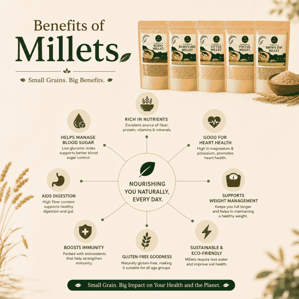 Five Ancient Indian Millets Naturally Rich in Dietary Fiber Plant Based Nutrition and Everyday Whole Grain Goodness by Sirigrains