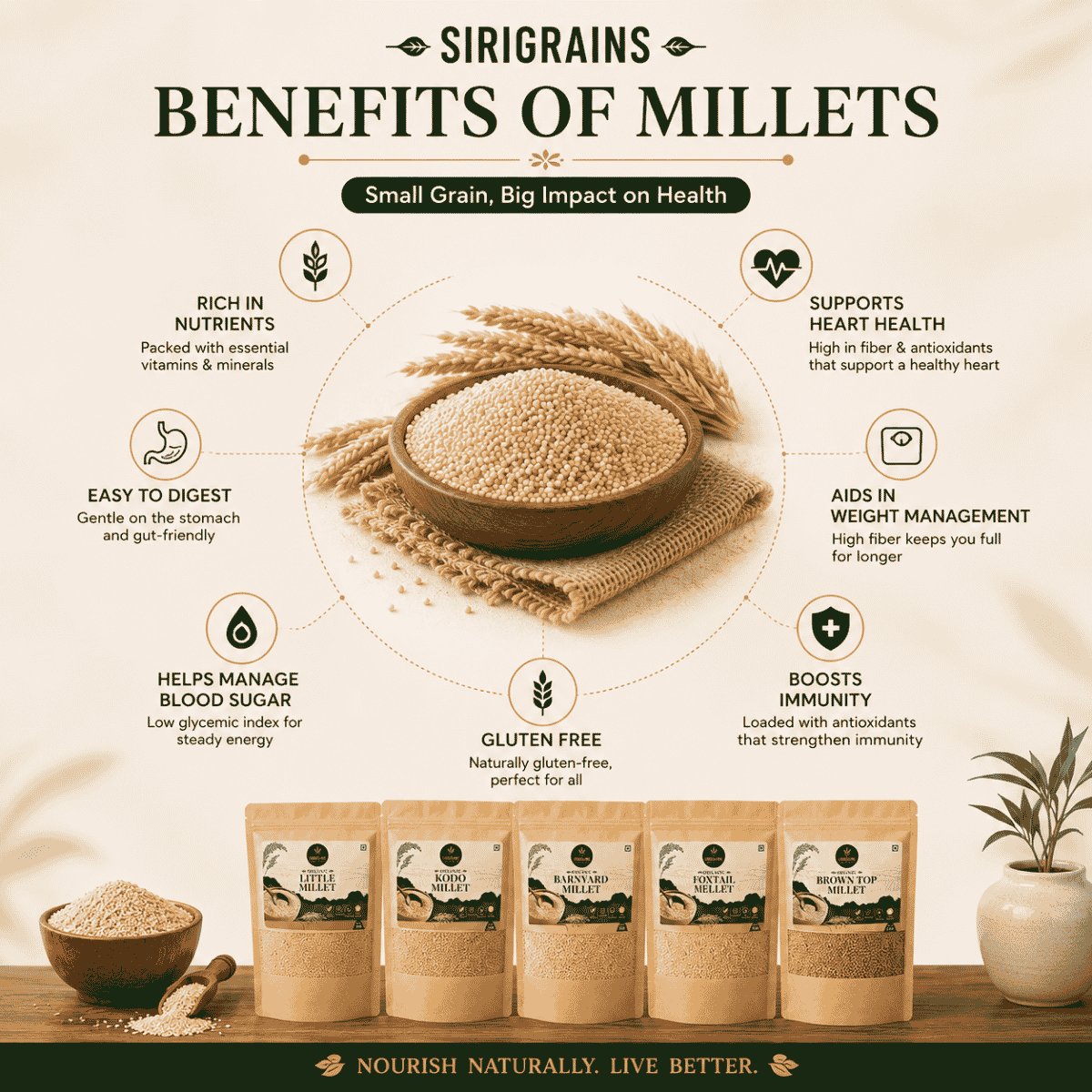 Five Ancient Indian Millets Naturally Rich in Dietary Fiber Plant Based Nutrition and Everyday Whole Grain Goodness by Sirigrains