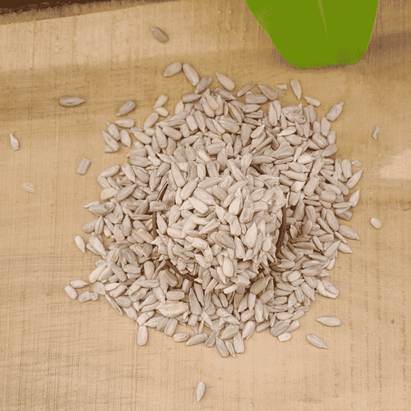 Premium Sunflower Seeds for Salads Smoothies Oats Yogurt Baking and Healthy Recipes Sirigrains